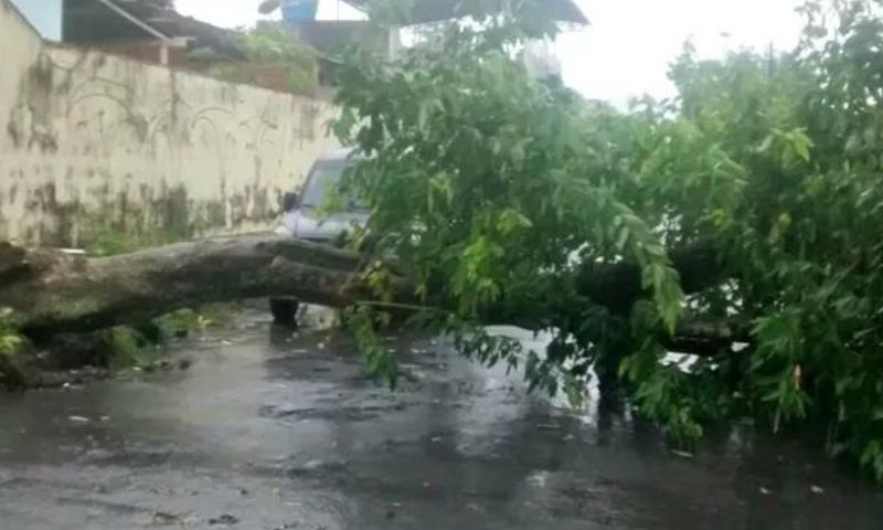 Desabamento e queda de árvore são registrados após forte chuva desta quinta (28) em Manaus
