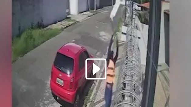 Vídeo flagra entregador arremessando encomenda por cima de muro e danificando cerca elétrica; veja