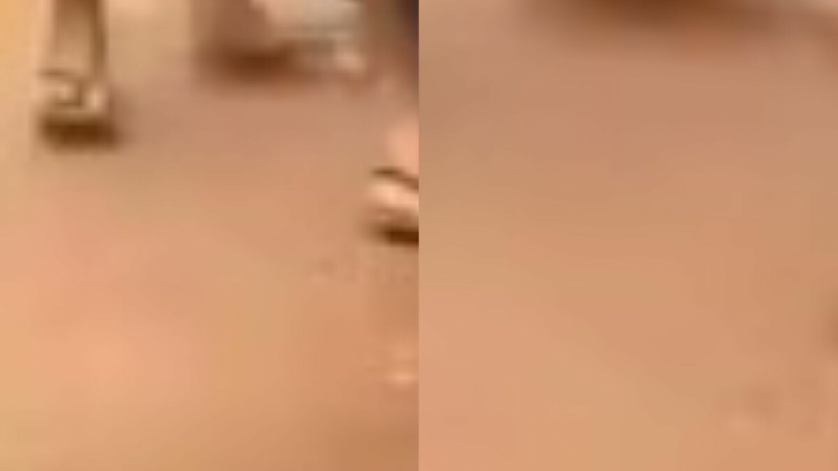 CENAS FORTES: foragido por tráfico de drogas é ass4ssinado com t1ros na c4beça