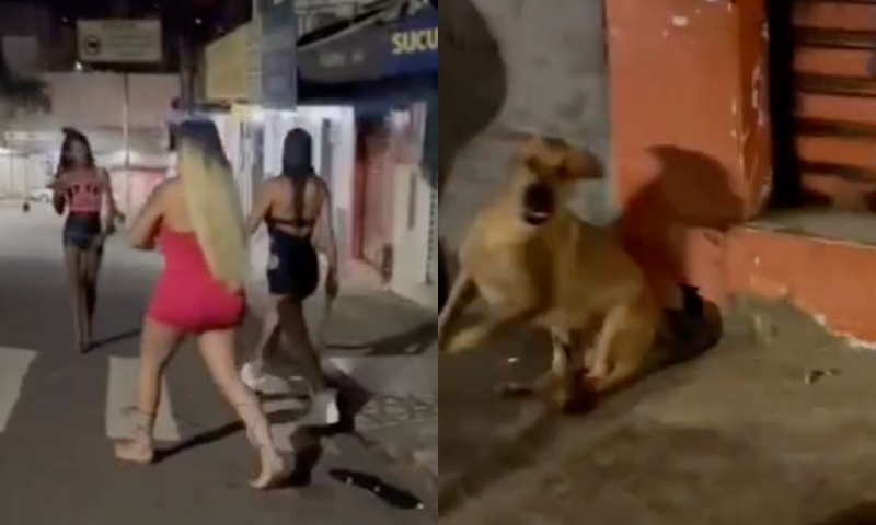‘Bonecas da noite’ fazem a própria amiga ter a pior experiência da sua vida em ponto de pr0stitu1ção; veja vídeo