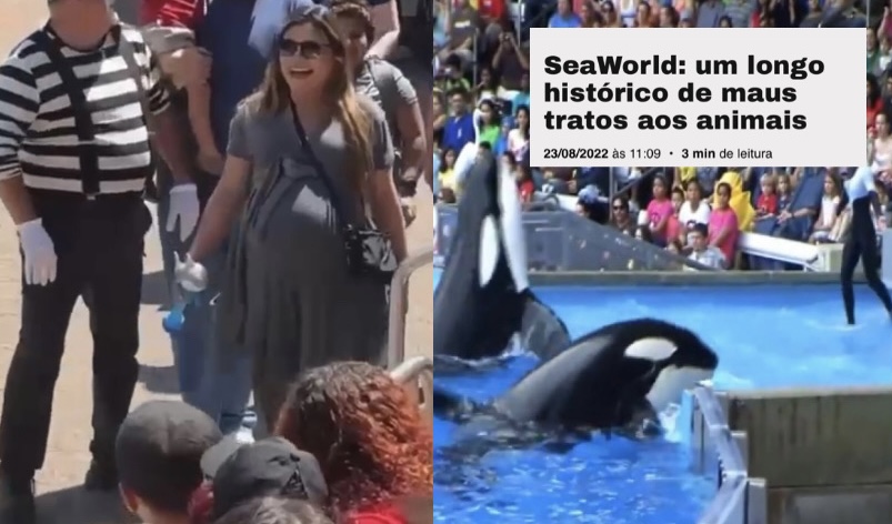 AMEAÇA: Joana Darc surta com imprensa após ser vista em parque de maus-tratos a animais: “Estou acima do bem e do mal!”; veja