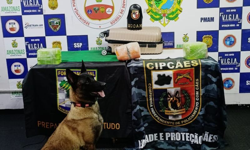 Dentro de mala: polícia apreende cocaína avaliada em meio milhão de reais