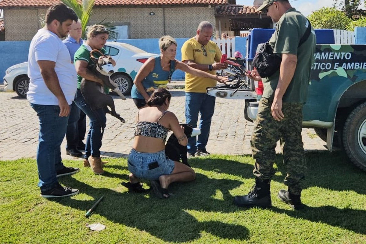 Donos de pitbulls que atacaram escritora são presos por maus-tratos aos cães e responderão por lesão corporal