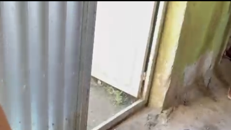 CENAS FORTES: homem tem c4beça est0urada a t1ros dentro de casa