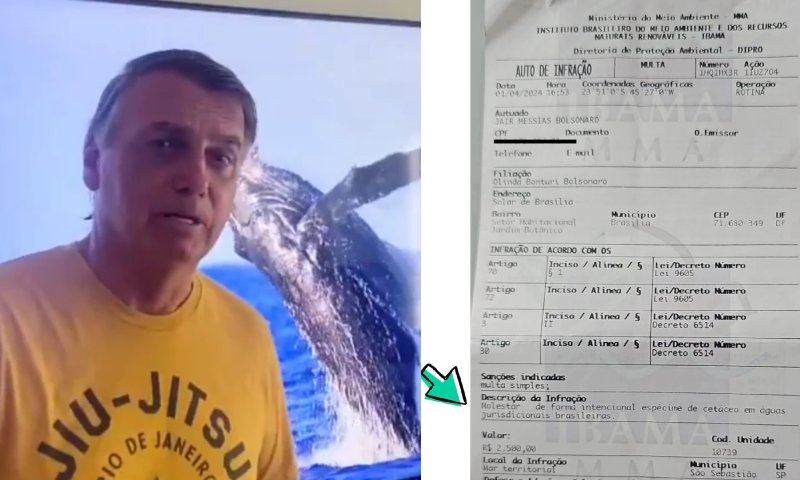 Caso da Baleia: Bolsonaro é multado mesmo após PF não indiciá-lo: “perseguição sem fim!”