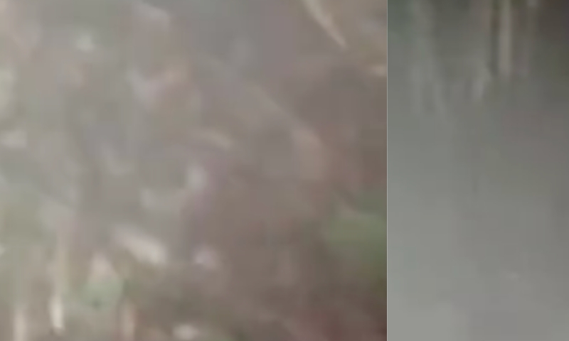 Dec4pitad0: CV invade boca de fumo e m4ta rival fuzil4d0; veja vídeo