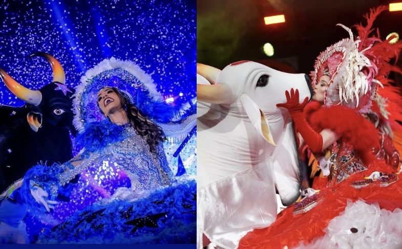 Arena Planeta Boi vai reunir todos os itens oficiais em festa memorável na Arena da Amazônia