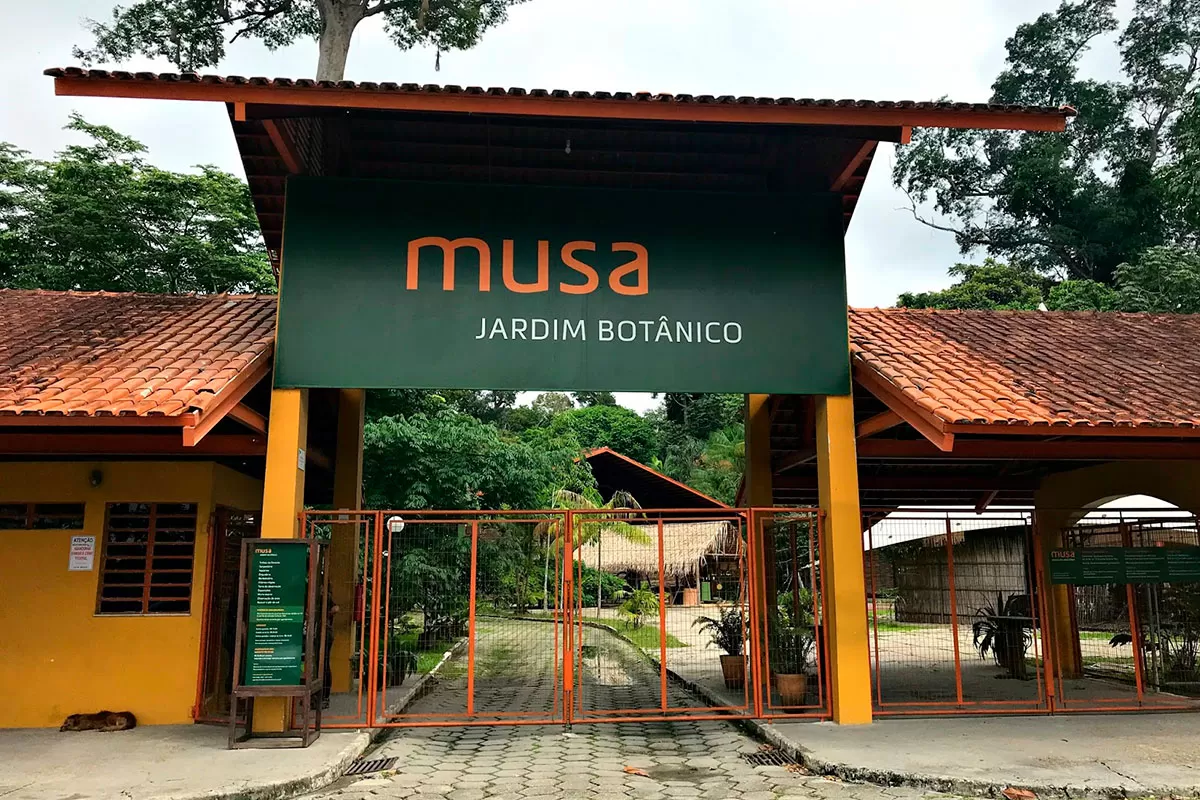 Passeio do MUSA tem trilha na floresta e visita a Torre de Observação