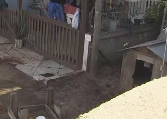 Brut4l: pitbulls mat4m trabalhador que prestava serviço em casa