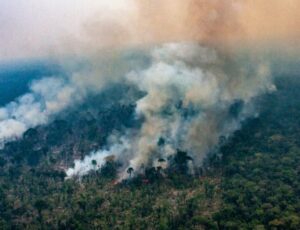 Queimadas na Amazônia sobem 154% e batem novo recorde