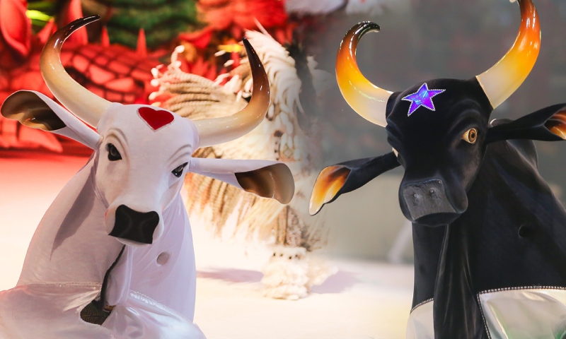 É oficial: Festival de Parintins será transmitido pela TV Globo