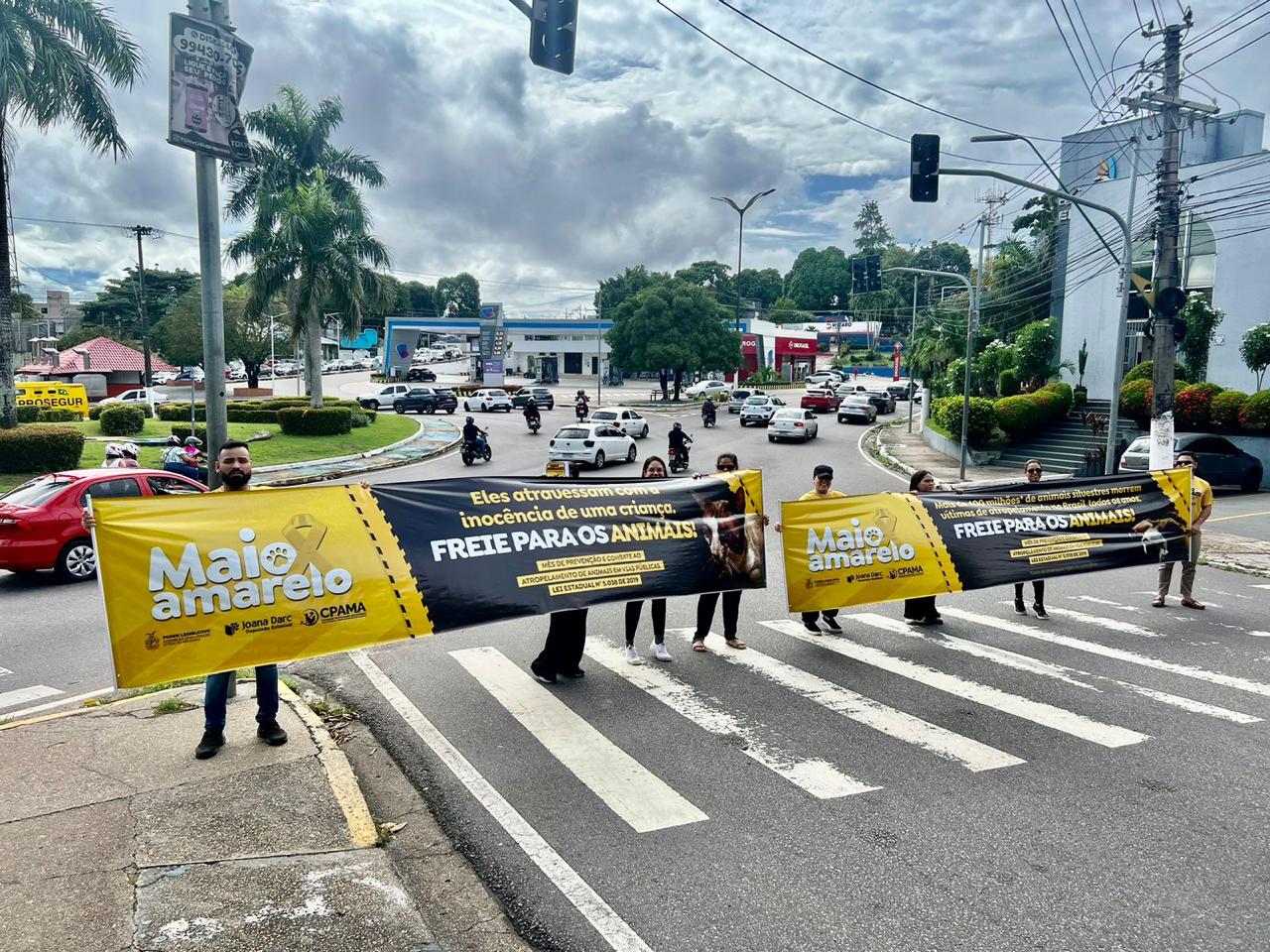 Comissão de Proteção aos Animais da Aleam inicia ações voltadas ao ‘Maio Amarelo’