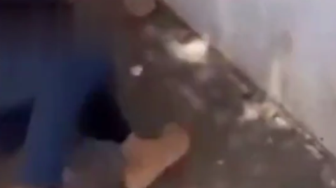“Diz quem é put4 aqui!”: adolescente é humilhada e esp4ncada na frente de escola; veja vídeo
