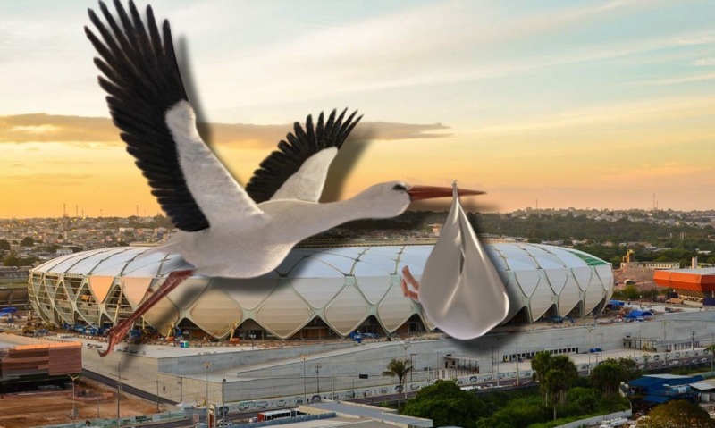 A cegonha está solta em Manaus: parlamentares amazonenses engravidam suas amantes durante campanha eleitoral