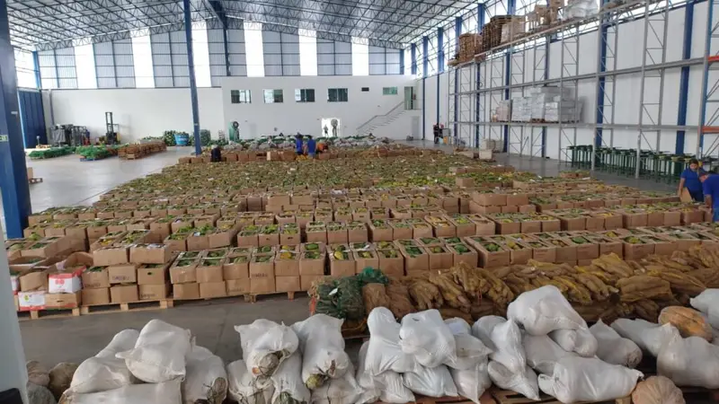 Merenda: Escolas públicas do AM vão receber mais de 125 toneladas de produtos regionais