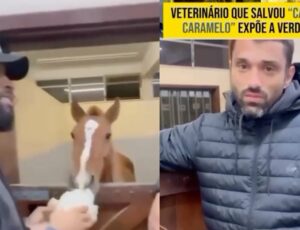 Veterinário que resgatou o Cavalo Caramelo desabafa: "Não foi o exército nem a Janja, foi o Corpo de Bombeiros e nós!"; veja vídeo