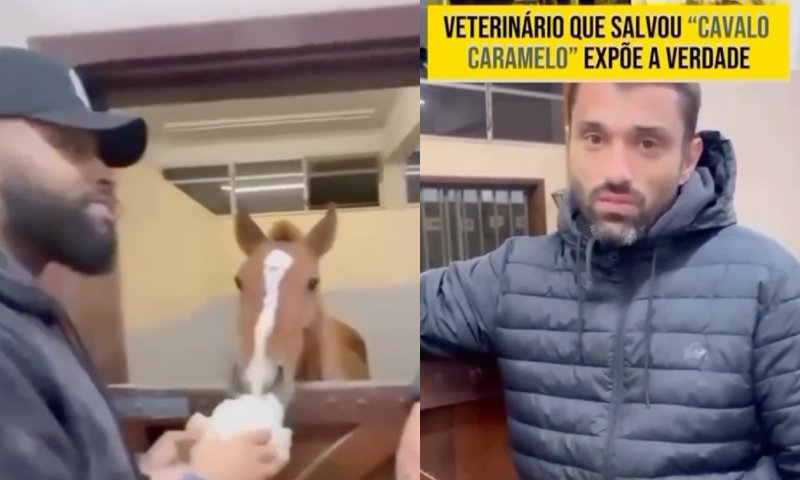 Veterinário que resgatou o Cavalo Caramelo desabafa: “Não foi o exército nem a Janja, foi o Corpo de Bombeiros e nós!”; veja vídeo