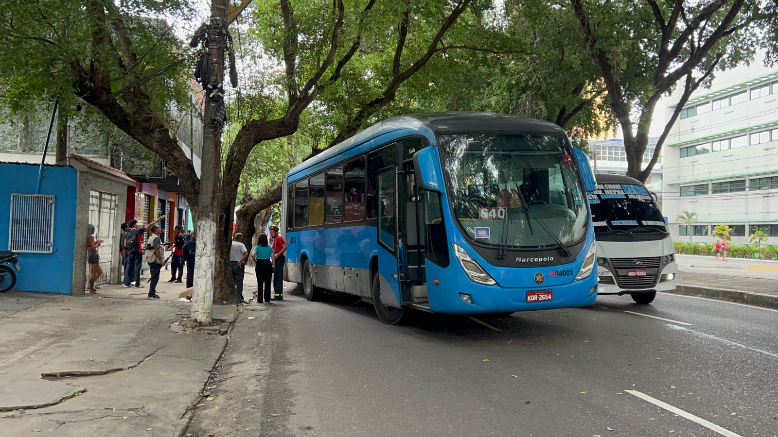 Motorista tenta fazer manobra e ônibus fica preso em árvore na avenida Getúlio Vargas; veja vídeos