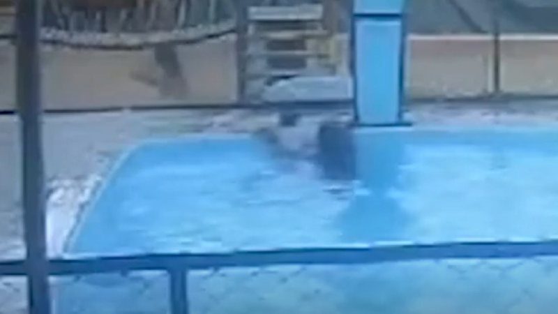 Mãe é flagrada tentando afogar bebê de 6 meses em piscina de clube; veja vídeo