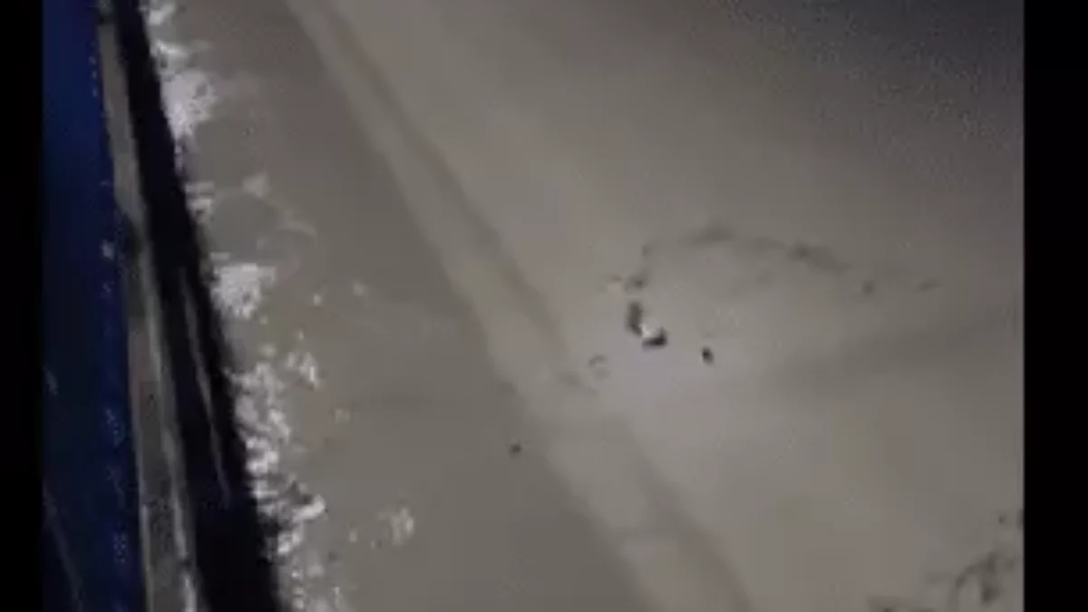 Mulher é arrastada por correnteza e se agarra em tronco de árvore para se salvar; veja vídeo