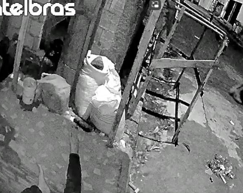 Veja momento em que homem m4ta o cunhado por não aceitar relação dele com seu irmão, em Manaus