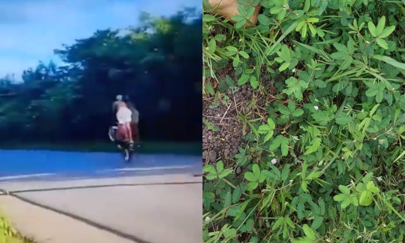 Jovem m0rre atr0pelado ao andar em pé em garupa de moto na BR-174; veja vídeos