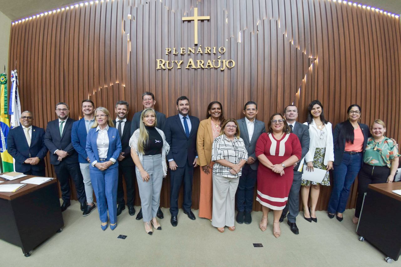 Aleam: deputado João Luiz conduz Comissão de Defesa das Crianças em busca de harmonia entre poderes
