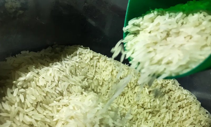 Aumento no preço do arroz pelo Mercosul leva Brasil a suspender leilão de 104 mil toneladas do grão