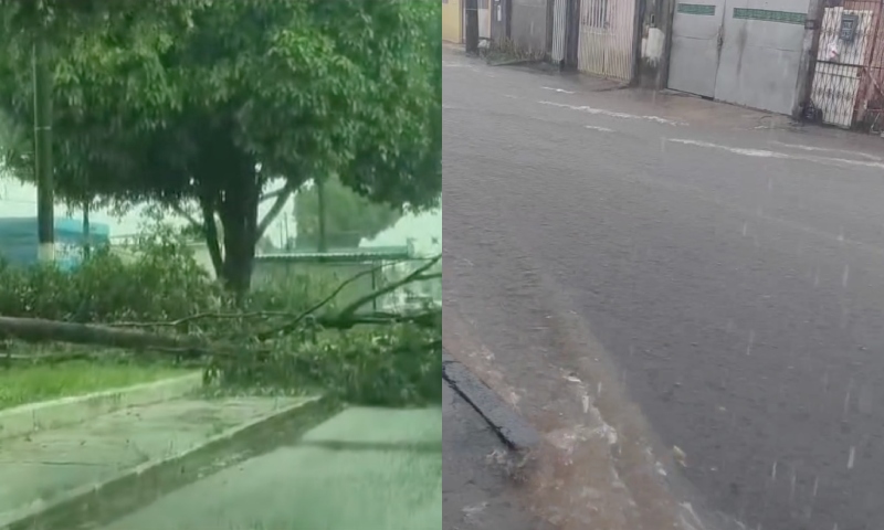 Temporal em Manaus causa queda de árvore e inudanção em vários bairros nesta segunda-feira; veja vídeos