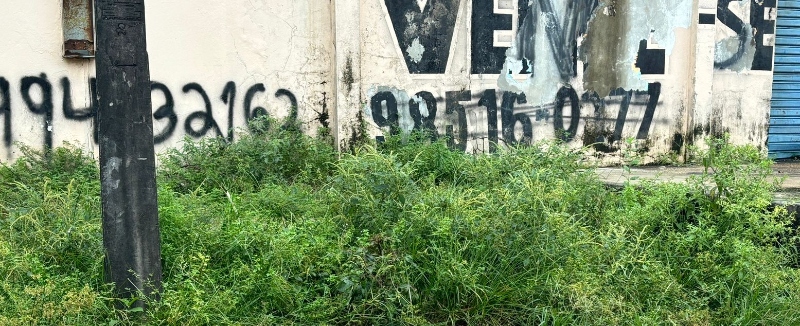 Urgente: c0rpo é encontrado enrolado em lençol no bairro Mutirão