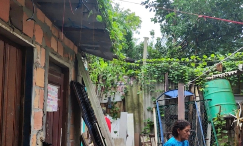 Homem morre após árvore cair sobre casa no bairro Redenção; veja vídeo