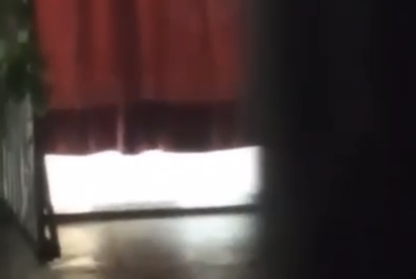 Vaza suposto vídeo de mãe de Djidja Cardoso delirando de dr0g4; assista
