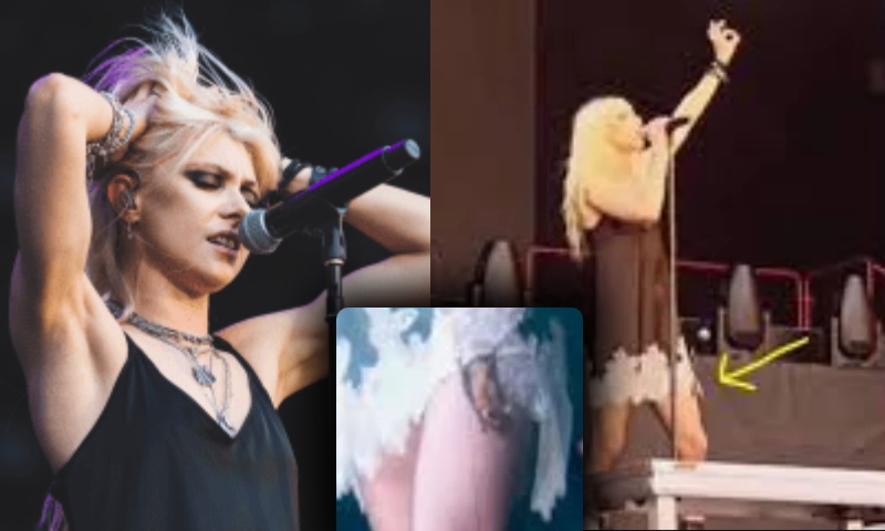 Taylor Momsen é mordida por morcego durante show e vai parar no hospital; veja vídeo