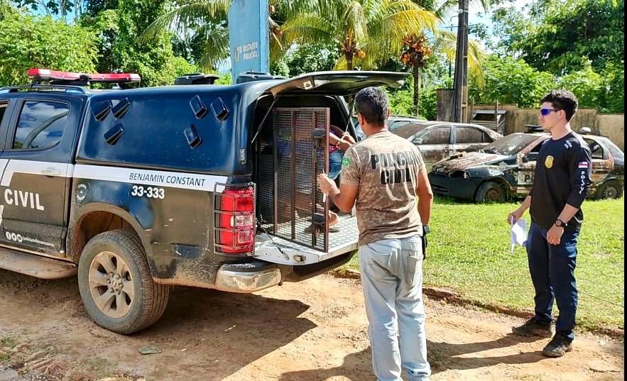 Mais de 130 prisões em apenas 1 mês é realizada no interior do Amazonas