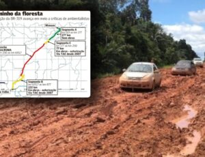 Relatório promete solução para BR-319, rodovia que interliga Manaus a Porto Velho