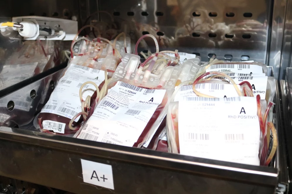 Dia Mundial do Doador de Sangue: FCecon destaca importância de doações para salvar vidas