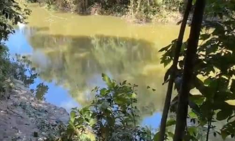 Tragédia: jovem “gazeta” aula e m0rre afog4do em lago no bairro Grande Vitória; veja vídeo