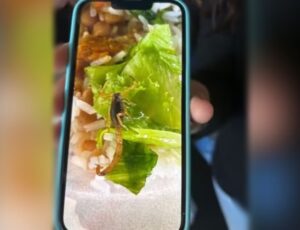 Aluno encontra escorpião em merenda da escola após abrir marmita; veja vídeo
