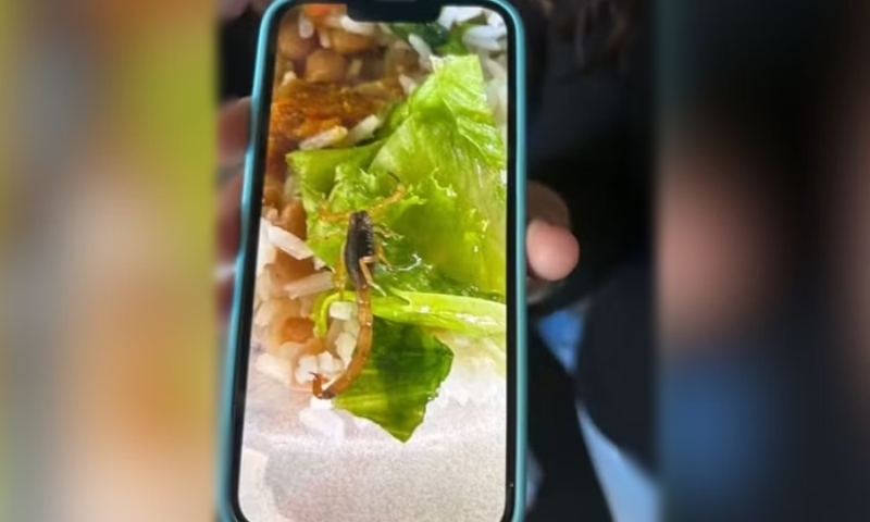 Aluno encontra escorpião em merenda da escola após abrir marmita; veja vídeo
