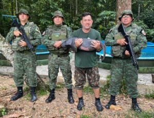 Polícia Militar ambiental resgata filhote de Peixe-Boi em Silves e entrega mamífero ao INPA
