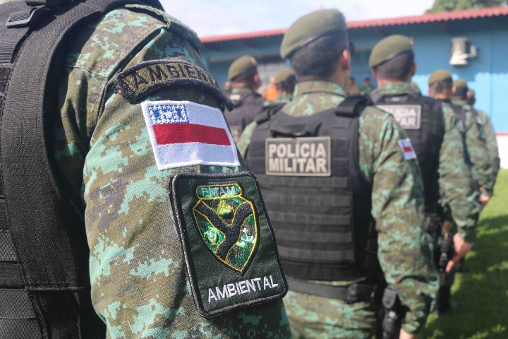 Operação Tamoiotatá 4: Governo aplica R$ 14 milhões em multas por prática de crimes ambientais no sul do Amazonas