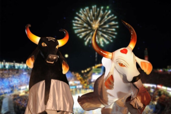 Lista de jurados para o Festival de Parintins 2024 é divulgada; confira quem são