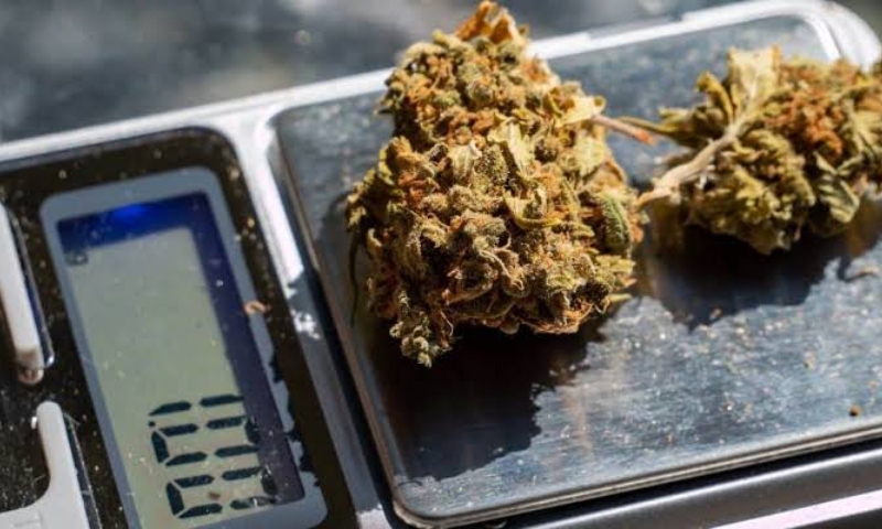 Quantidade de maconha vai diferenciar uso pessoal e tráfico