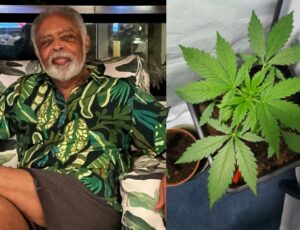 Após decisão do STF, Gilberto Gil revela aos 82 anos que usa maconha desde a juventude