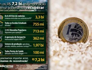 Federação calcula o que poderia ser feito no Rio Grande do Sul com os R$ 7,2 bi do leilão do arroz