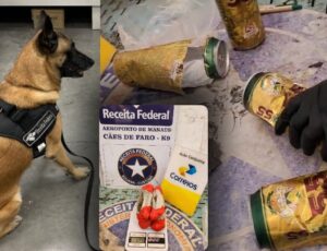 Cães farejadores encontram maconha dentro de cervejas no Aeroporto de Manaus; veja vídeo