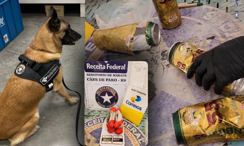 Cães farejadores encontram maconha dentro de cervejas no Aeroporto de Manaus; veja vídeo
