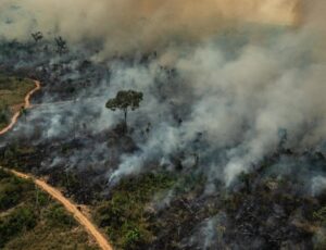 Queimadas na Amazônia tiveram aumento de 123% no ano passado, diz levantamento