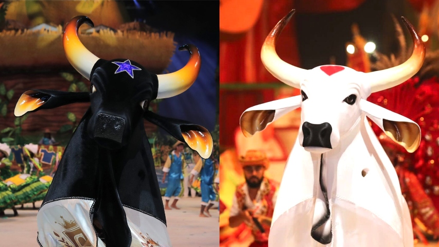 Apuração das notas do Caprichoso e Garantido acontece nesta segunda-feira (1º)