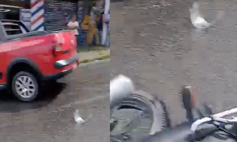 Urgente: criança que estava na garupa de moto sofre grave ac1dente em Manaus; veja vídeo